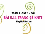 Bài 5.11 Toán 9 tập 1 SGK Kết nối tri thức